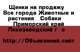 Щенки на продажу - Все города Животные и растения » Собаки   . Приморский край,Лесозаводский г. о. 